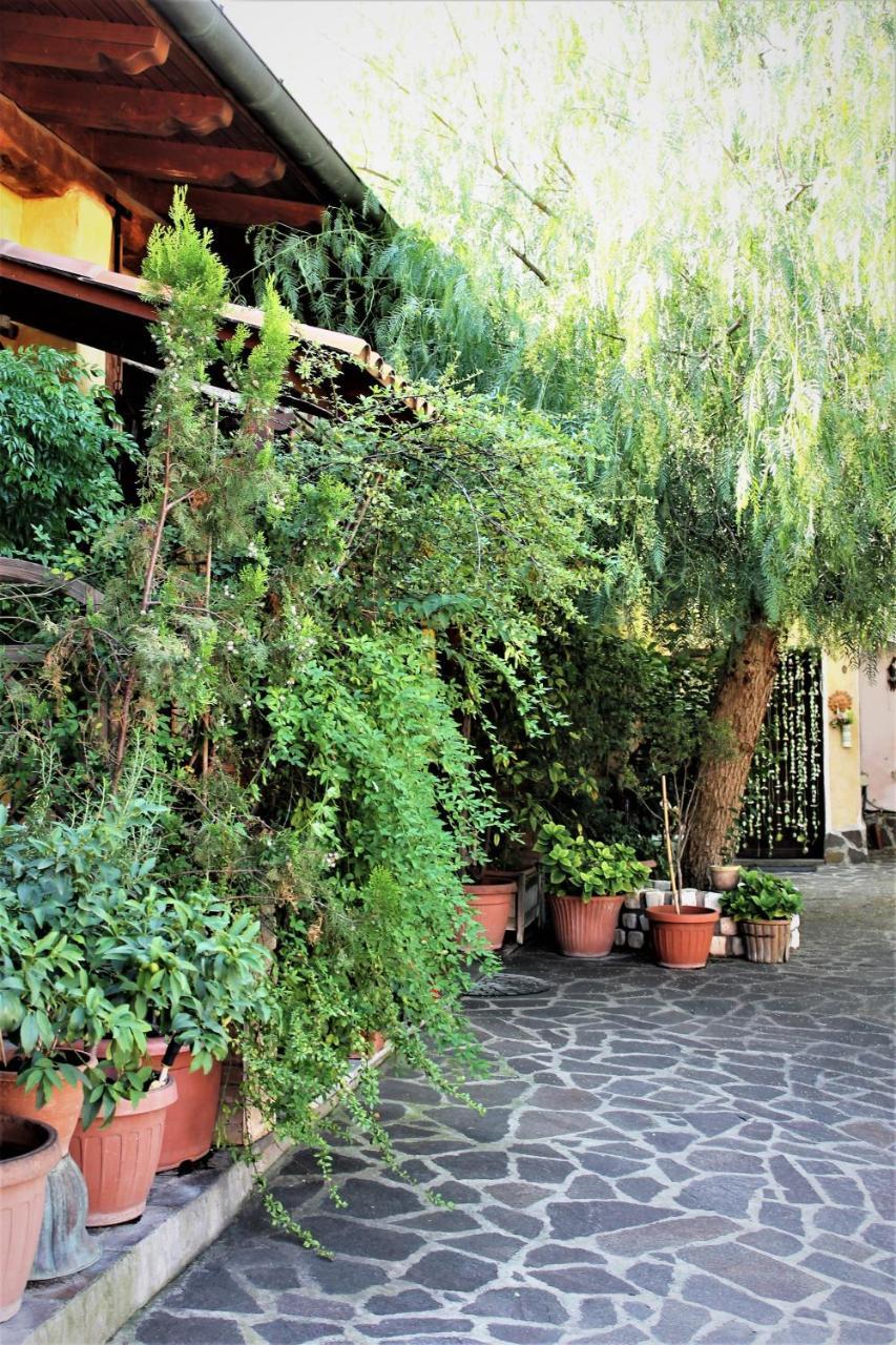 Hotel I Gerani Rossi Rom Exterior foto
